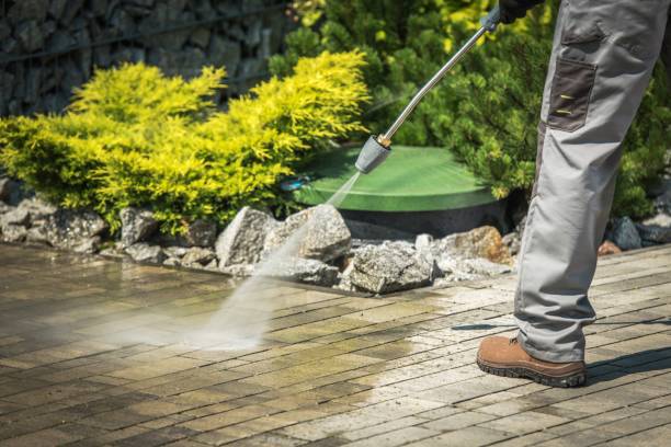 Best Driveway Pressure Washing  in Fest Grove, OR